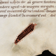 Image for article titled When Medieval Scribes Turned Damaged Paper into Clever Art